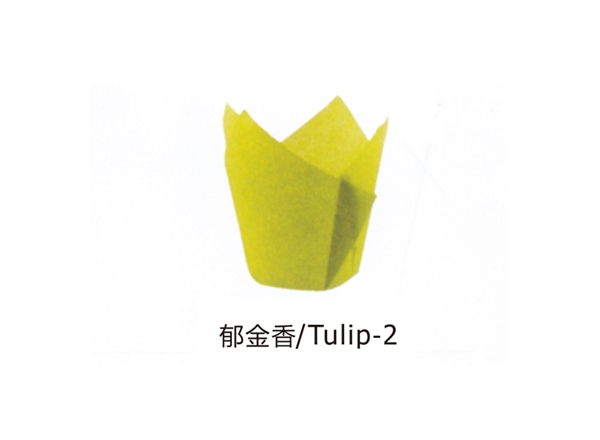 郁金香/Tulip-2