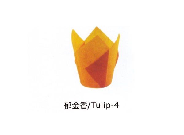 郁金香/Tulip-4