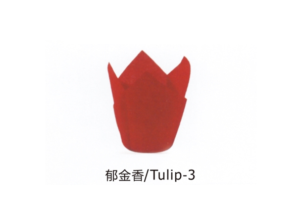 郁金香/Tulip-3