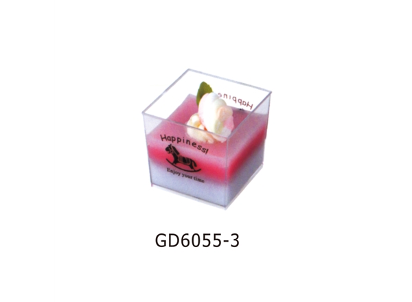 GD6055-3