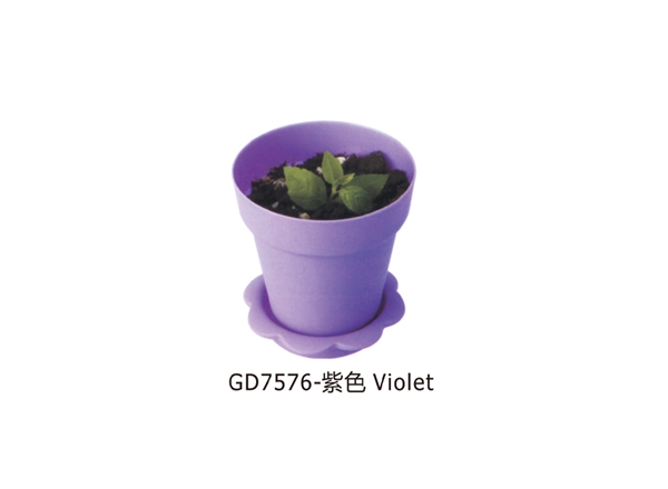 GD7576-紫色