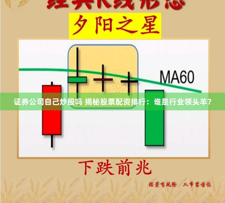 证券公司自己炒股吗 揭秘股票配资排行：谁是行业领头羊？